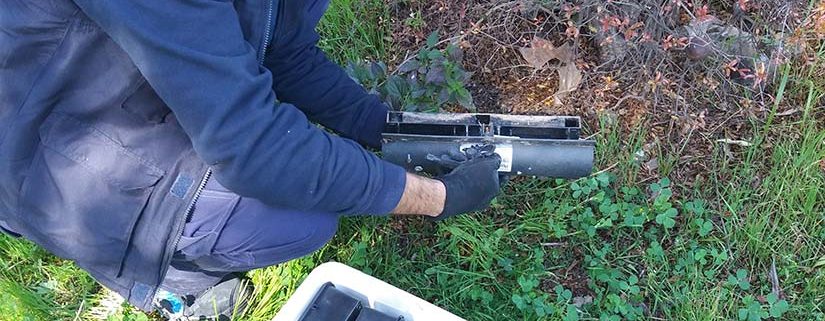 desratización en helipuerto del 061 de Sevilla