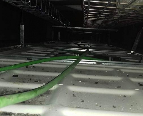 Falso techo con excrementos y restos de ratas