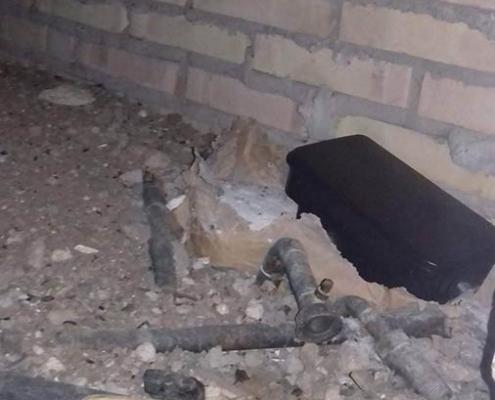 trampa cebo para ratas