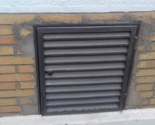 Acceso de ratas al edificio