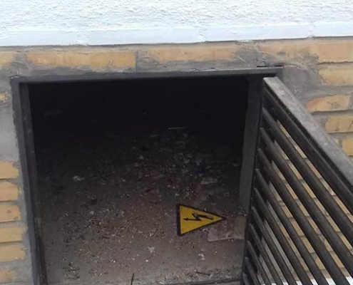 Acceso de ratas al edificio