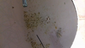 Tratamiento legionella hotel de carretera en Córdoba