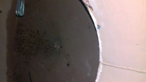 Tratamiento legionella hotel de carretera en Córdoba