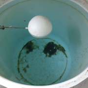 Trabajo de Limpieza de y desinfección de depósitos de agua de consumo humano en vivienda residenciales de Sevilla.